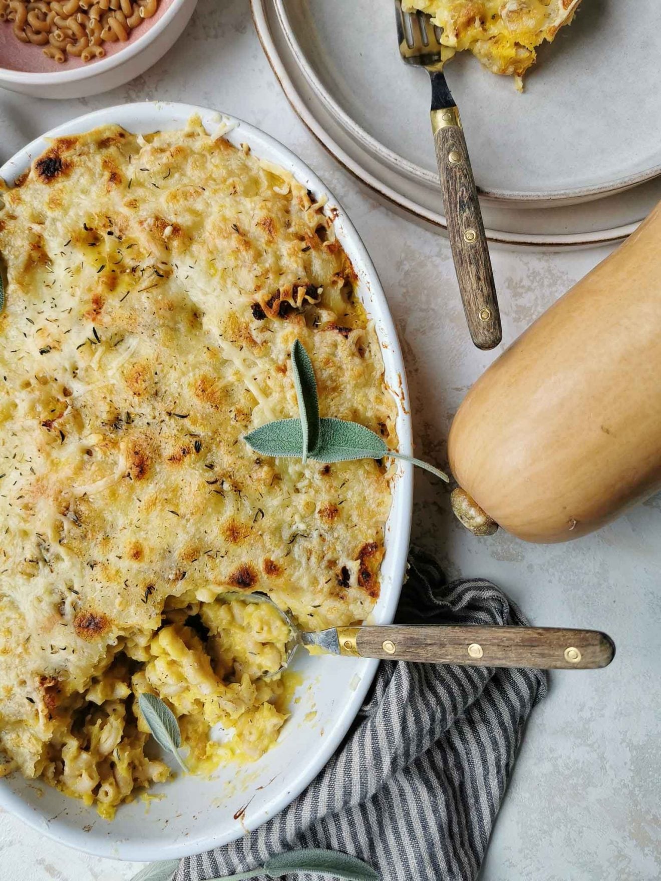 Witlof Met Kaas Uit De Oven Een Vegetarisch Recept